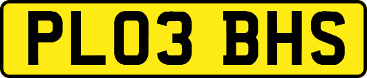 PL03BHS