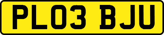 PL03BJU