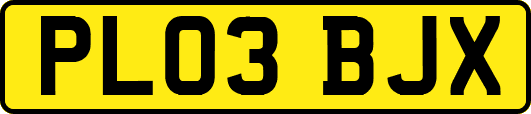 PL03BJX