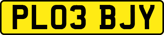 PL03BJY