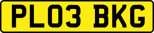 PL03BKG