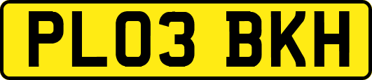 PL03BKH
