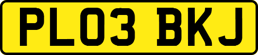 PL03BKJ