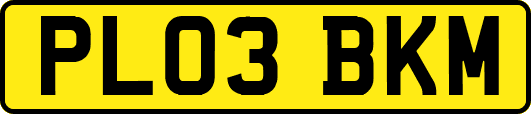 PL03BKM