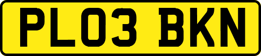 PL03BKN