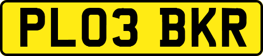 PL03BKR