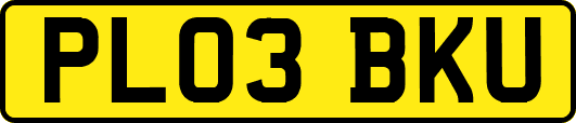 PL03BKU