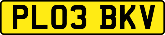 PL03BKV