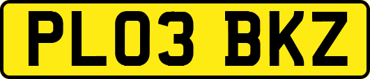 PL03BKZ