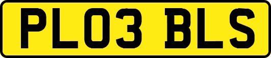 PL03BLS