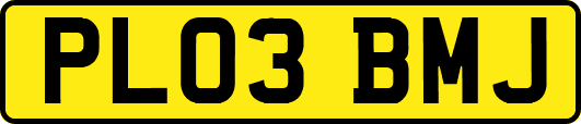 PL03BMJ