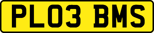 PL03BMS