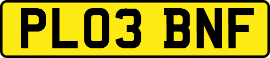 PL03BNF