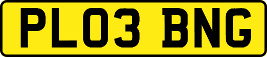 PL03BNG