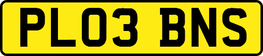 PL03BNS