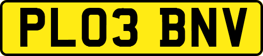 PL03BNV