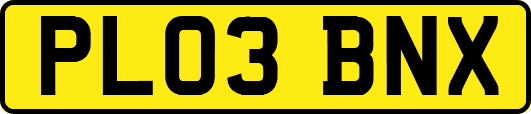 PL03BNX