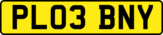PL03BNY