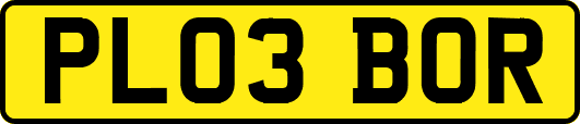 PL03BOR