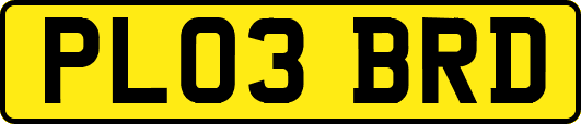 PL03BRD