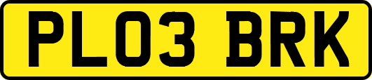PL03BRK