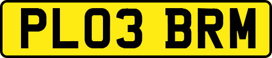 PL03BRM