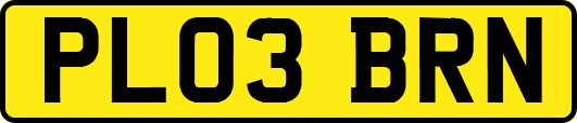 PL03BRN