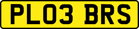 PL03BRS