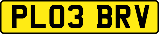 PL03BRV