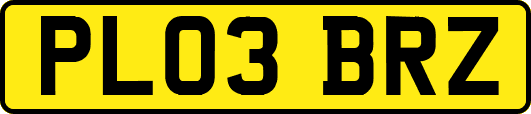 PL03BRZ