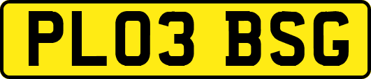 PL03BSG