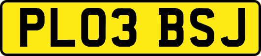 PL03BSJ