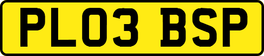 PL03BSP
