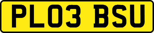 PL03BSU