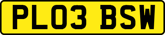 PL03BSW
