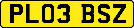 PL03BSZ