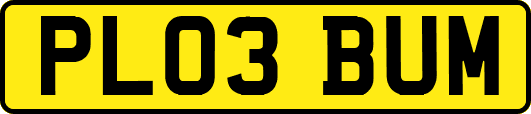 PL03BUM