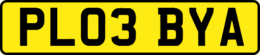PL03BYA