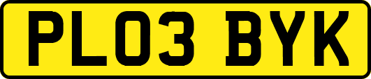 PL03BYK