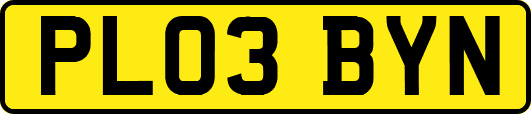 PL03BYN
