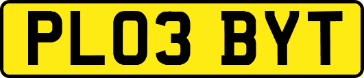 PL03BYT