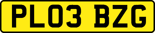 PL03BZG