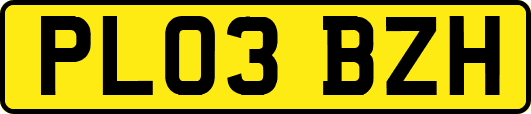 PL03BZH