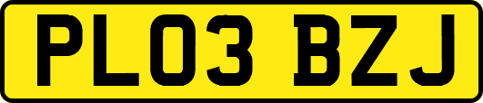 PL03BZJ