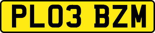 PL03BZM