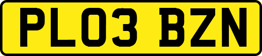PL03BZN