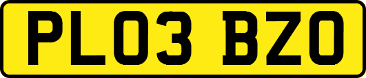 PL03BZO