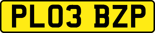 PL03BZP