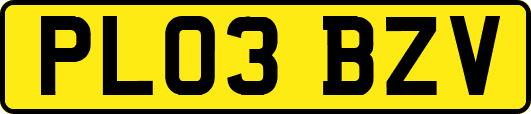PL03BZV