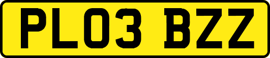 PL03BZZ